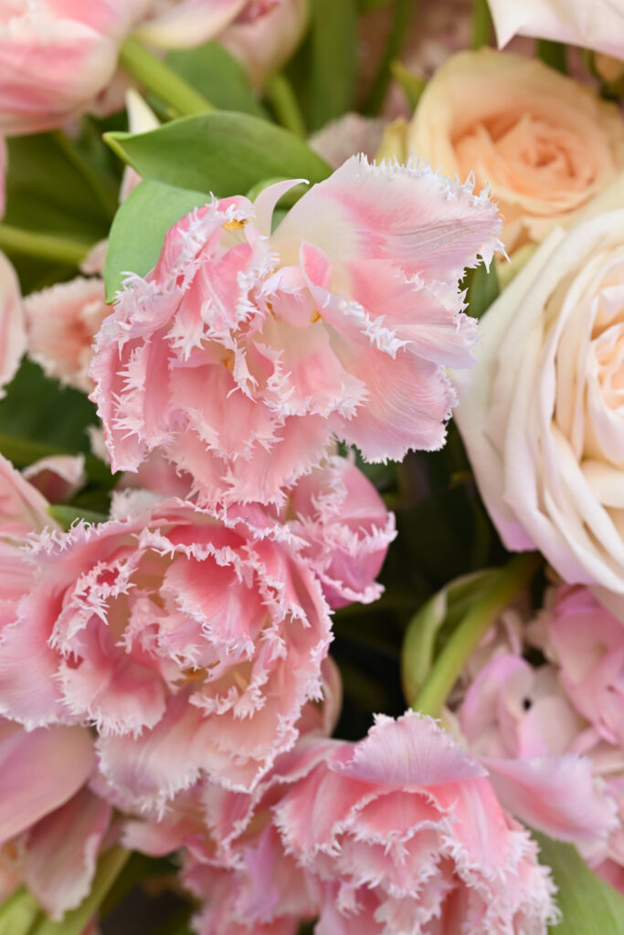 IM_ESSECare_InauguralSummerSoiree_61_EN_250618